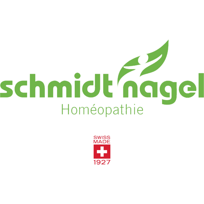 logo Schmidt Nagel