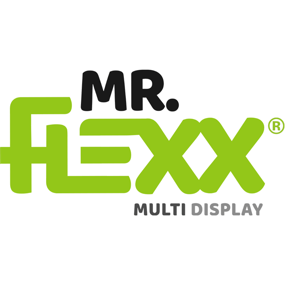 Logo Mr FLEXX